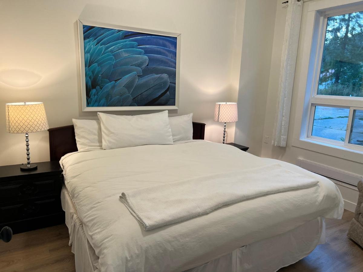 Country Home, Sleeps 6 Pets Friendly بورت ألبيرني المظهر الخارجي الصورة